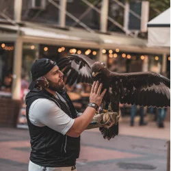 Индивидуално авиошоу с грабливи птици за двама