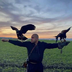 Господарите на небето: Групово шоу с мишелов на Харис и скален орел за един човек