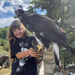 Господарите на небето: Групово шоу с мишелов на Харис и скален орел за двама Господарите на небето: Групово шоу с мишелов на Харис и скален орел за двама