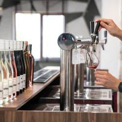 "Луксозна дегустация на 7 вина за един" във Винарна Типченица