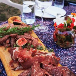 На брега на Искъра с "Весел пикник за трима" край Враца