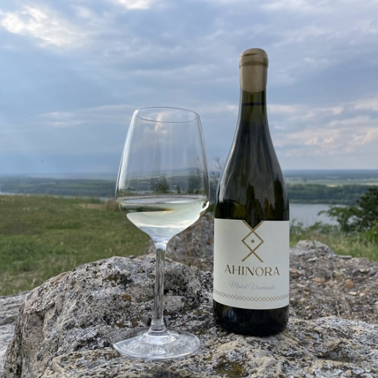 A winemaking adventure in the Danube plain with "Tasting for two in the village of Selanovtsi" from Makaroon