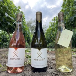 Tasting for two at the Ahinora wine cellar in the village of Selanovtsi