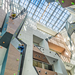Катерете се самостоятелно с "Belay тренировка в Momentum Indoor Climbing" Катерете се самостоятелно с "Belay тренировка в Momentum Indoor Climbing"