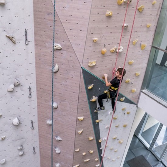 Спорт, катерене и забавление с "Индивидуална тренировка" в Walltopia от Makaroon Спорт, катерене и забавление с "Индивидуална тренировка" в Walltopia от Makaroon