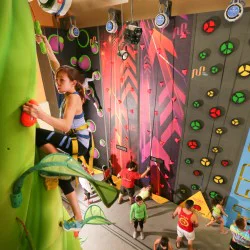 "Индивидуална тренировка по катерене" в Momentum Indoor Climbing
