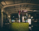  Преживяване за ценители - Тур и дегустация на вина от редки български сортове във Винарска изба Царев Брод от Makaroon