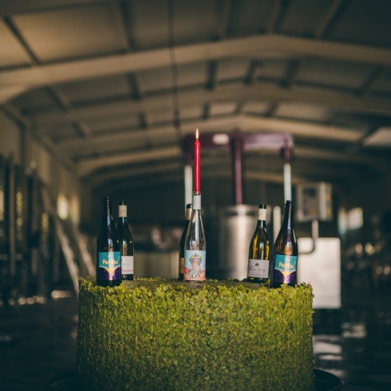 Discover the secrets of good wine with a Tour and Tasting of Reserve Wines at the Tsarev Brod Winery from Makaroon Discover the secrets of good wine with a Tour and Tasting of Reserve Wines at the Tsarev Brod Winery from Makaroon