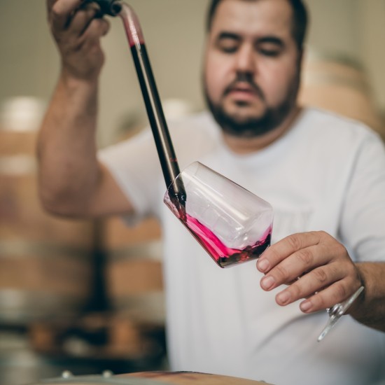 Discover the secrets of good wine with a Tour and Tasting of Reserve Wines at the Tsarev Brod Winery from Makaroon Discover the secrets of good wine with a Tour and Tasting of Reserve Wines at the Tsarev Brod Winery from Makaroon