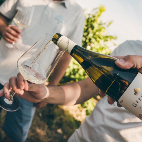 Discover the secrets of good wine with a Tour and Tasting of Reserve Wines at the Tsarev Brod Winery from Makaroon Discover the secrets of good wine with a Tour and Tasting of Reserve Wines at the Tsarev Brod Winery from Makaroon
