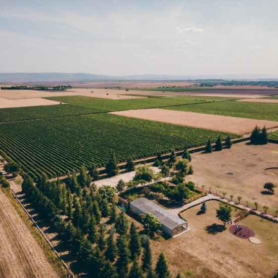 Discover the secrets of good wine with a Tour and Tasting of Reserve Wines at the Tsarev Brod Winery from Makaroon Discover the secrets of good wine with a Tour and Tasting of Reserve Wines at the Tsarev Brod Winery from Makaroon