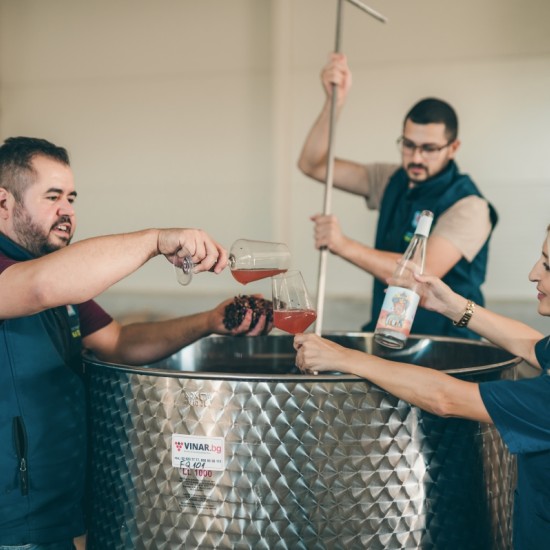 Discover the secrets of good wine with a Tour and Tasting of Reserve Wines at the Tsarev Brod Winery from Makaroon Discover the secrets of good wine with a Tour and Tasting of Reserve Wines at the Tsarev Brod Winery from Makaroon