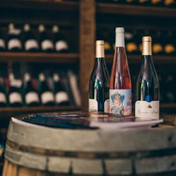 Опитайте магията на виното с Тур и дегустация на редки български сортове за двама във Винарска изба Царев Брод 