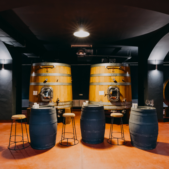 Опитайте виното, родено в пещерата, с Винен тур и дегустация на 3 вина за двама в изба Магура от Makaroon