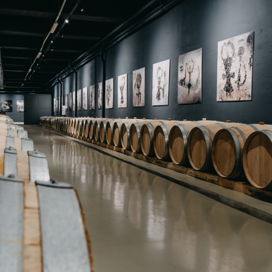 Опитайте виното, родено в пещерата, с Винен тур и дегустация на 3 вина за двама в изба Магура от Makaroon