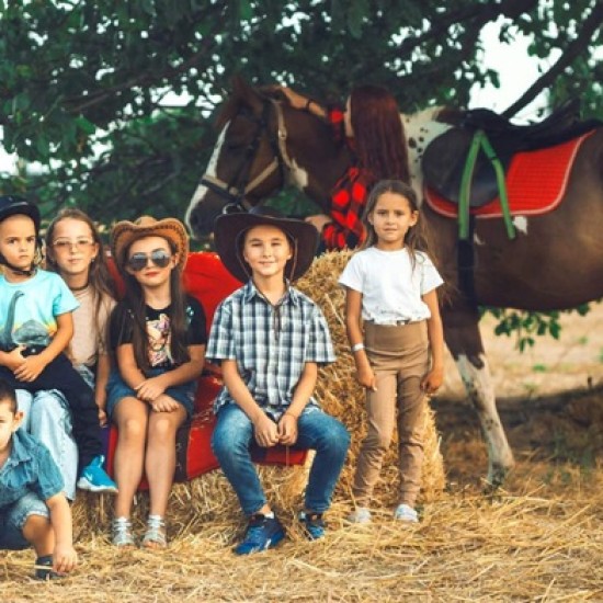 Забавление и природата с Конна езда на манеж в Радомир от Makaroon