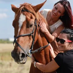 Разходка с кон сред природата в Радомир - 60 мин.