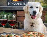 Прекaрайте време с най-близките си с вкусна пица, вино и кучето Bella - преживяване от Makaroon