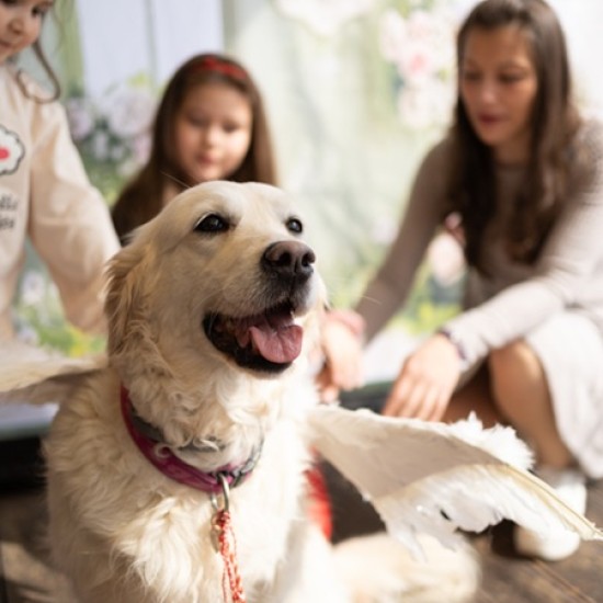 Прекaрайте време с най-близките си с вкусна пица, вино и кучето Bella - преживяване от Makaroon