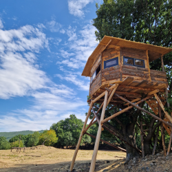 In the home of wild animals with Forest Safari for two near Ihtiman In the home of wild animals with Forest Safari for two near Ihtiman