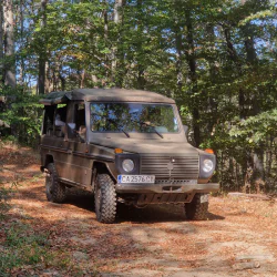 Дивото Зове - сафари с наблюдение на диви животни, разходка, стрелба с лък и барбекю край Ихтиман Дивото Зове - сафари с наблюдение на диви животни, разходка, стрелба с лък и барбекю край Ихтиман