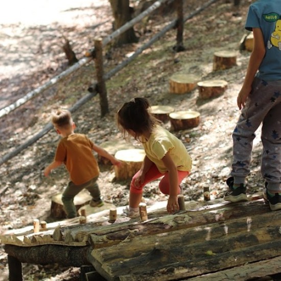 Spend an unforgettable day in nature with a wildlife safari, walk and barbecue near Ihtiman from Makaroon