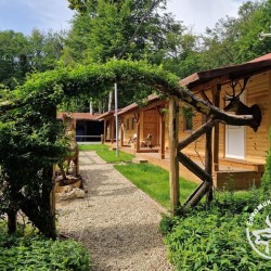 Forest adventure with barbecue and archery for two + 1 child (7-10 years old) near Ihtiman